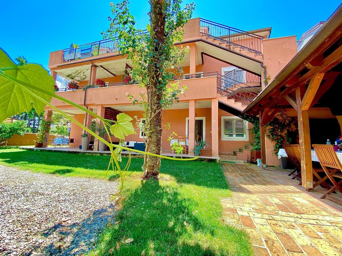 Apartments Tajana Novigrad  Exterior photo