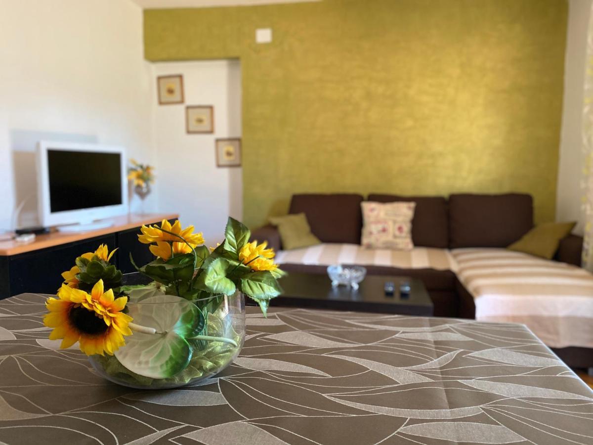 Apartments Tajana Novigrad  Exterior photo