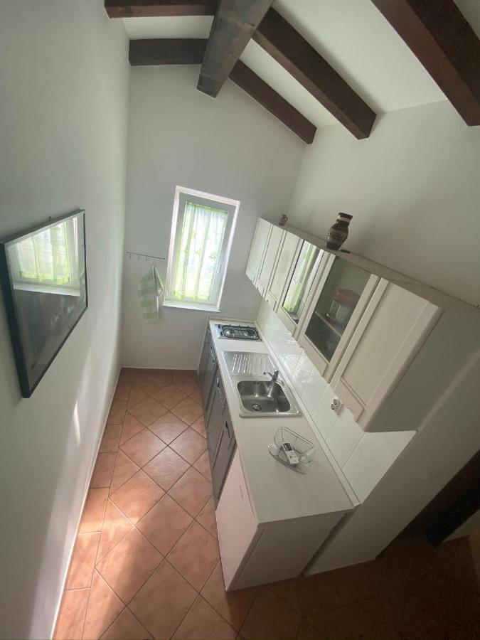 Apartments Tajana Novigrad  Exterior photo