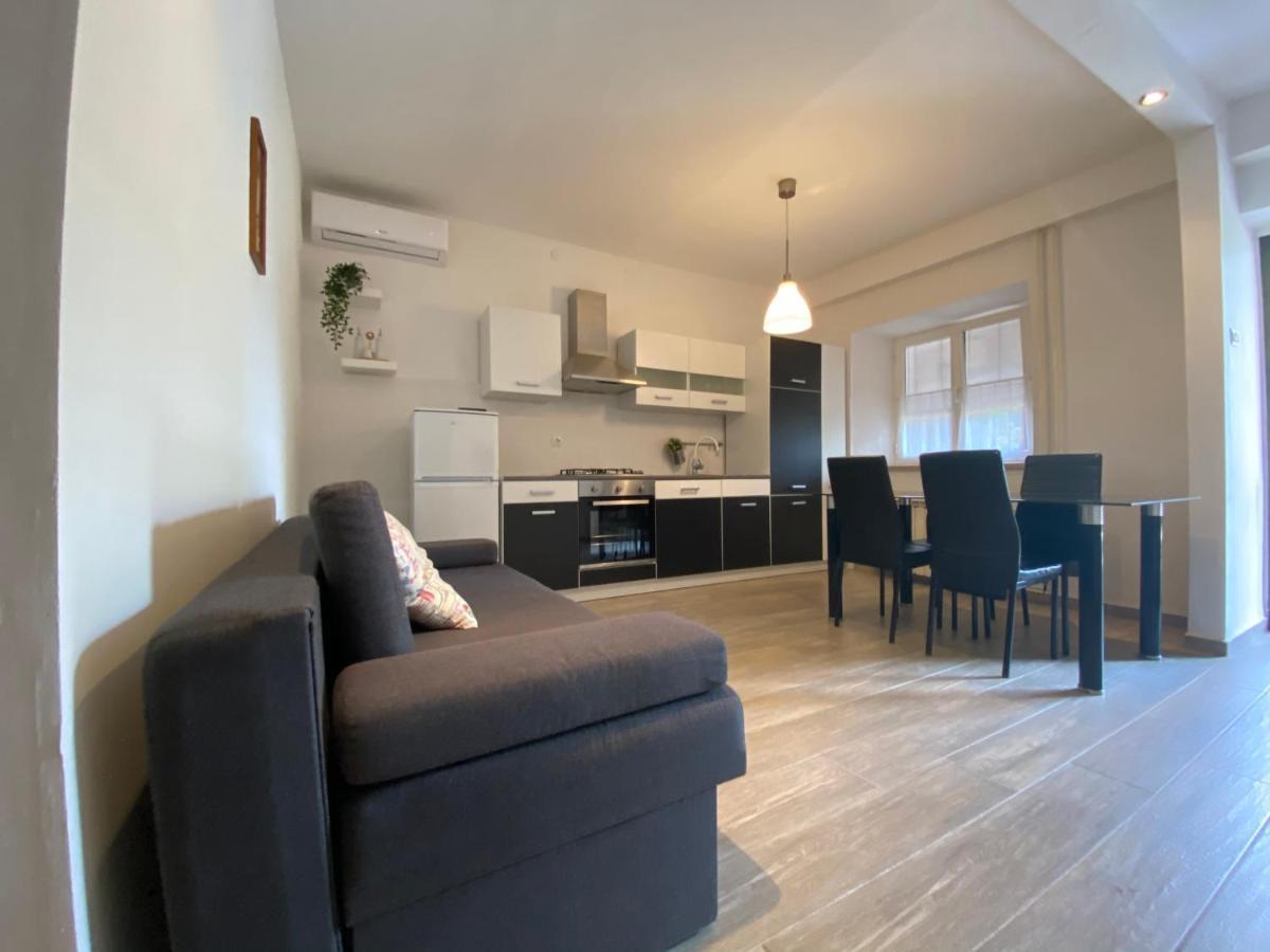 Apartments Tajana Novigrad  Exterior photo