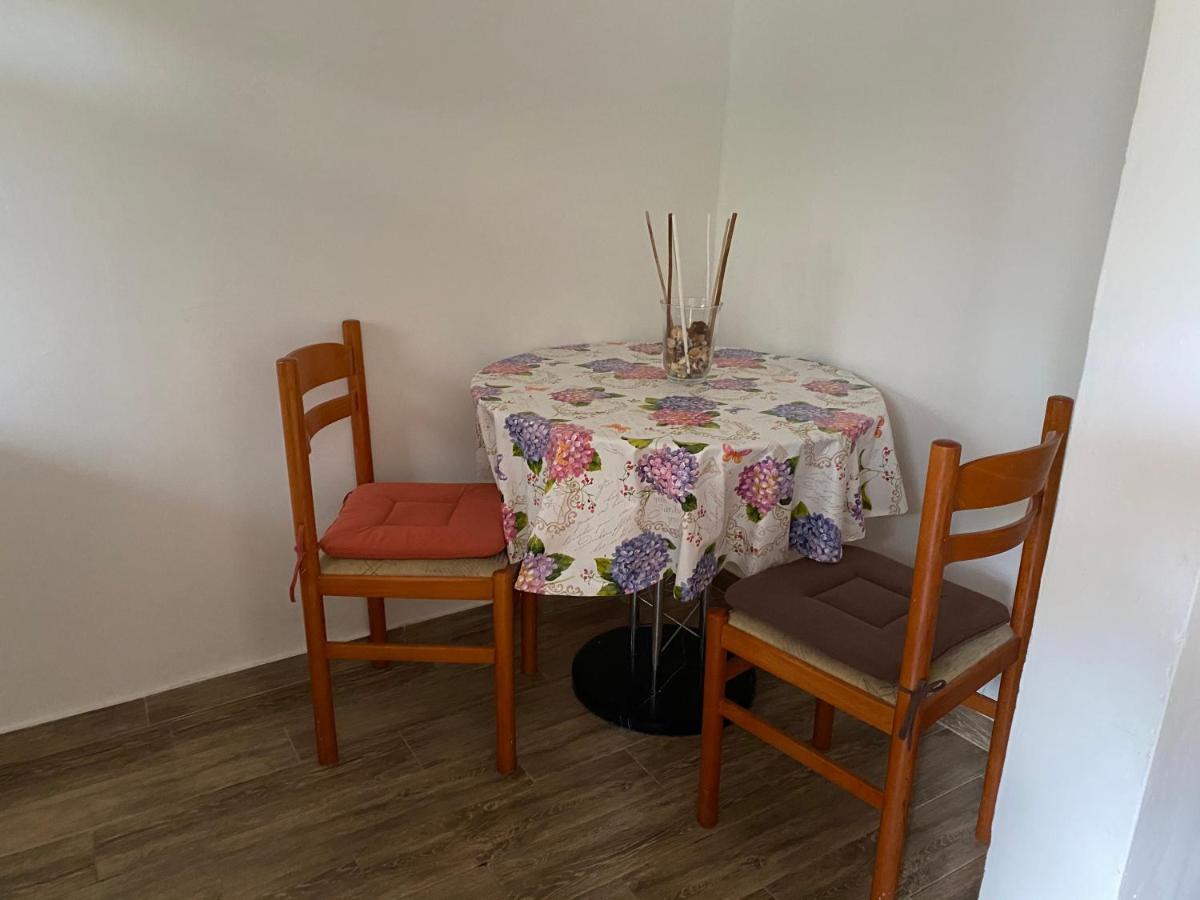 Apartments Tajana Novigrad  Exterior photo