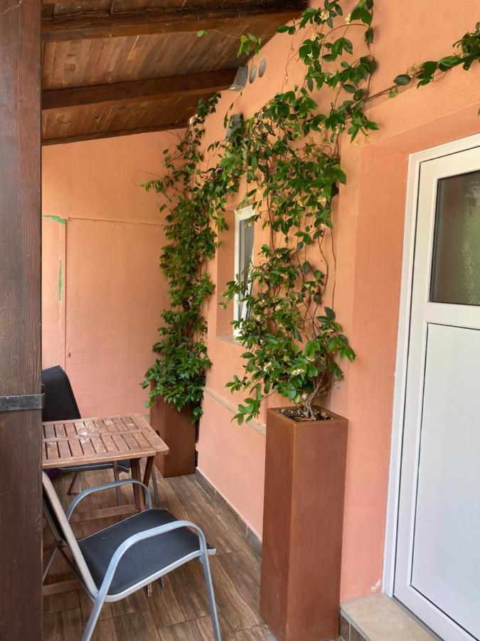 Apartments Tajana Novigrad  Exterior photo