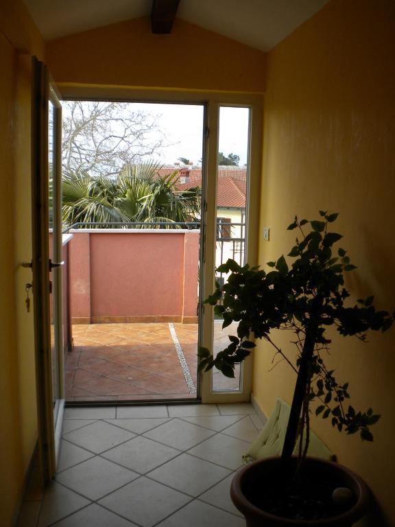 Apartments Tajana Novigrad  Room photo